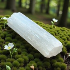 OPLSEL Seleniet - Oplaadstaaf