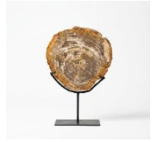 PET1 Versteend Hout op Metalen Voet – 30 cm