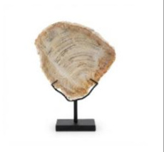 PET11 Versteend hout op metalen voet – 37 cm
