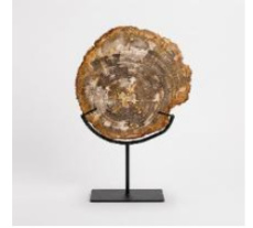 PET3 Versteend hout op metalen voet – 28 cm