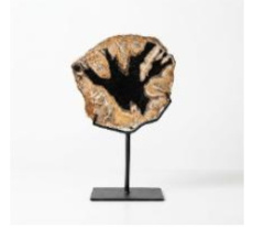 PET5 Versteend hout op metalen voet – 27 cm
