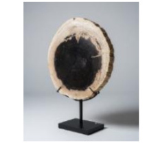 PET6 Versteend hout op metalen voet – 30 cm
