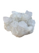 R132 Cactuskwarts ruw – 11,5 cm