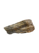 R255 Tijgeroog ruw – 13 cm