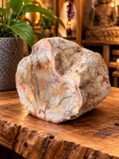 R699 Versteend Hout – 3,5 cm
