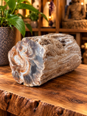 R703 Versteend Hout – 3,5 cm