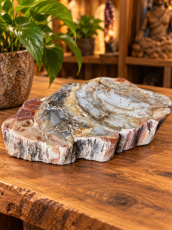 R704 Versteend Hout Schijf – 13,5 cm