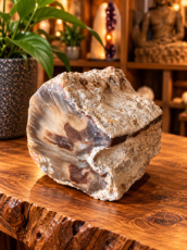 R709 Versteend Hout – 2,5 cm