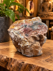 R724 Versteend Hout – 10 cm