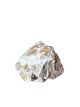 R729 Versteend Hout – 6 cm