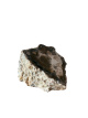 R729 Versteend Hout – 6 cm