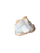 R738 Versteend Hout – 8 cm