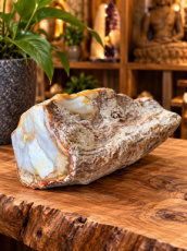 R738 Versteend Hout – 8 cm