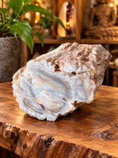 R749 Versteend Hout – 7 cm