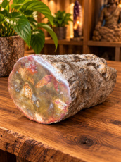 R750 Versteend Hout – 4,5 cm