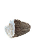 R776 Versteend Hout – 6,5 cm