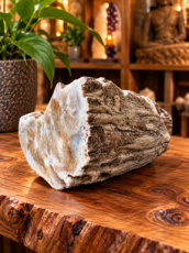 R776 Versteend Hout – 6,5 cm