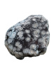 R815 Sneeuwvlok Obsidiaan – 14 cm