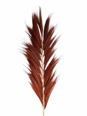 RAY01 Rayung Decoratieve Pluim – 210 cm