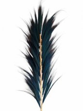 RAY04 Rayung Decorative Plume – 210 cm