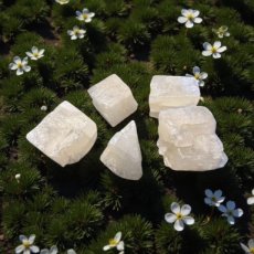 RUW-CalcietWit Calcite - 7cm