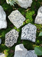 RUWDAL Dalmatiër Jaspis - ruw ca. 4cm