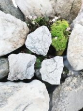 RUWHOW Howliet - Ruw ca. 4cm