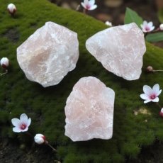 RUWROZ Rozenkwarts - ruw ca. 4cm