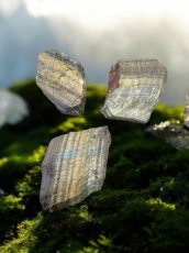 RUWTIJ Tijgeroog - Ruw ca. 4cm