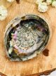 Abalone schelp 14cm