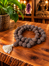 T39 Mala Rudraksha – 53 cm