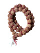 T41 Mala Rudraksha – 52 cm