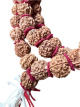T41 Mala Rudraksha – 52 cm