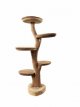 TEPL140 Support pour Plaque en Bois Star – Bloc Présentoir Artisanal