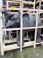 VPO-05 Olifant Fontein 125cm