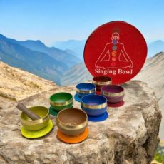 VPO15 16 delig Chakra klankschalenset