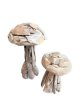 VPO17 Set paddenstoelen in hout 80 en 50cm