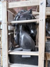 VPOBULK-01-PAARD 6x Paardenkop 64cm