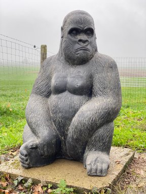 Zittende gorilla 80cm